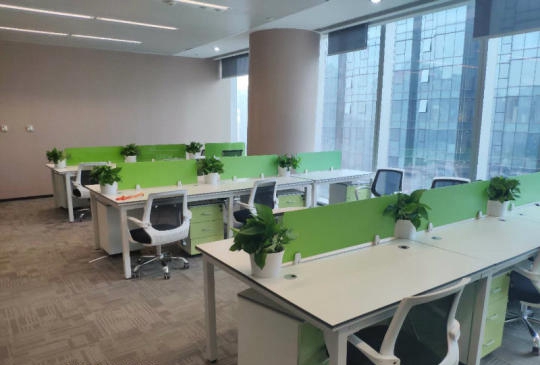 綠地雙子塔260㎡ 江西地標 精裝帶家具 看房隨時